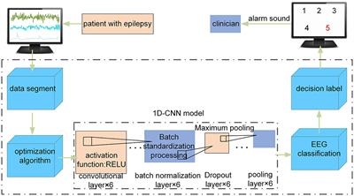 Automatic epileptic seizure detection based on EEG using a moth-flame optimization of one-dimensional convolutional neural networks